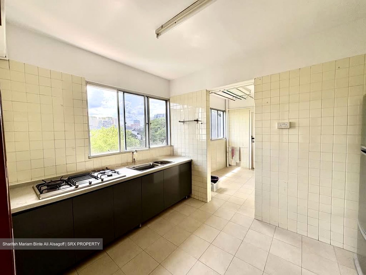 Lakeview Estate (D20), Apartment #566175771